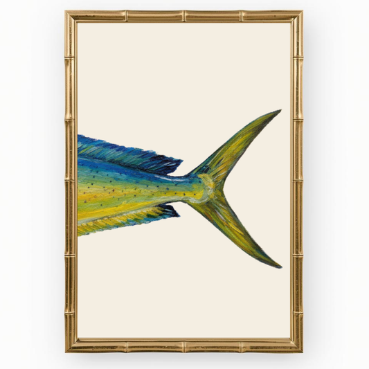 Coastal Wall Art Set : Mahi Fish Back Fin Painting Print